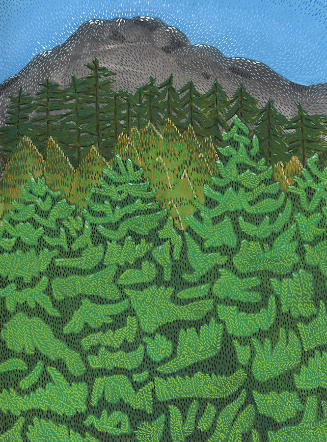 Christine Marie Larsen illustration of a greenbelt. Forest trees mountain.