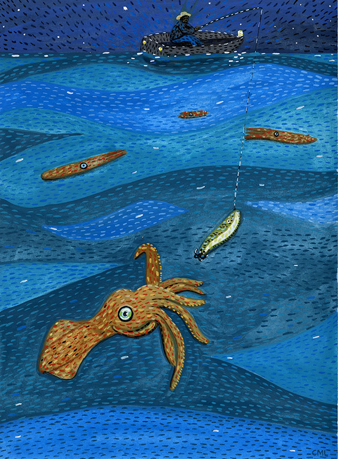 Christine Marie Larsen illustration: Squid Jigging at Night